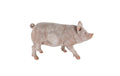Esschert Schwein L Transparent