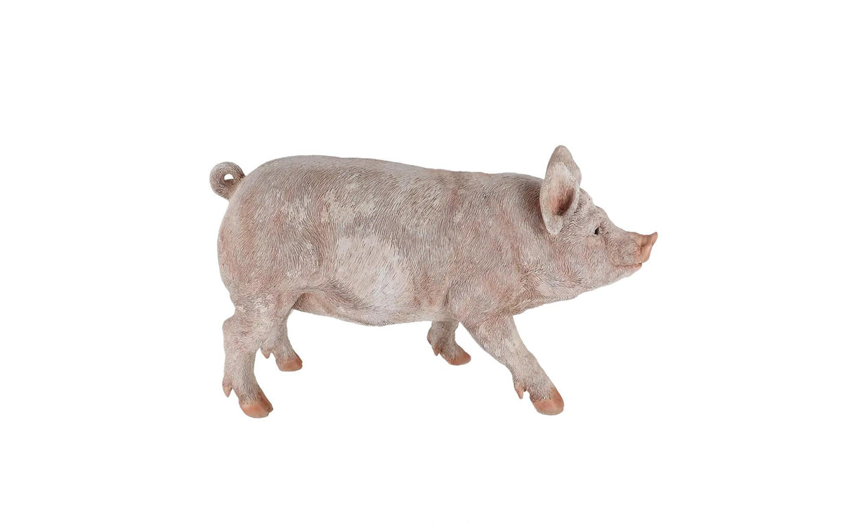 Esschert Schwein L Transparent