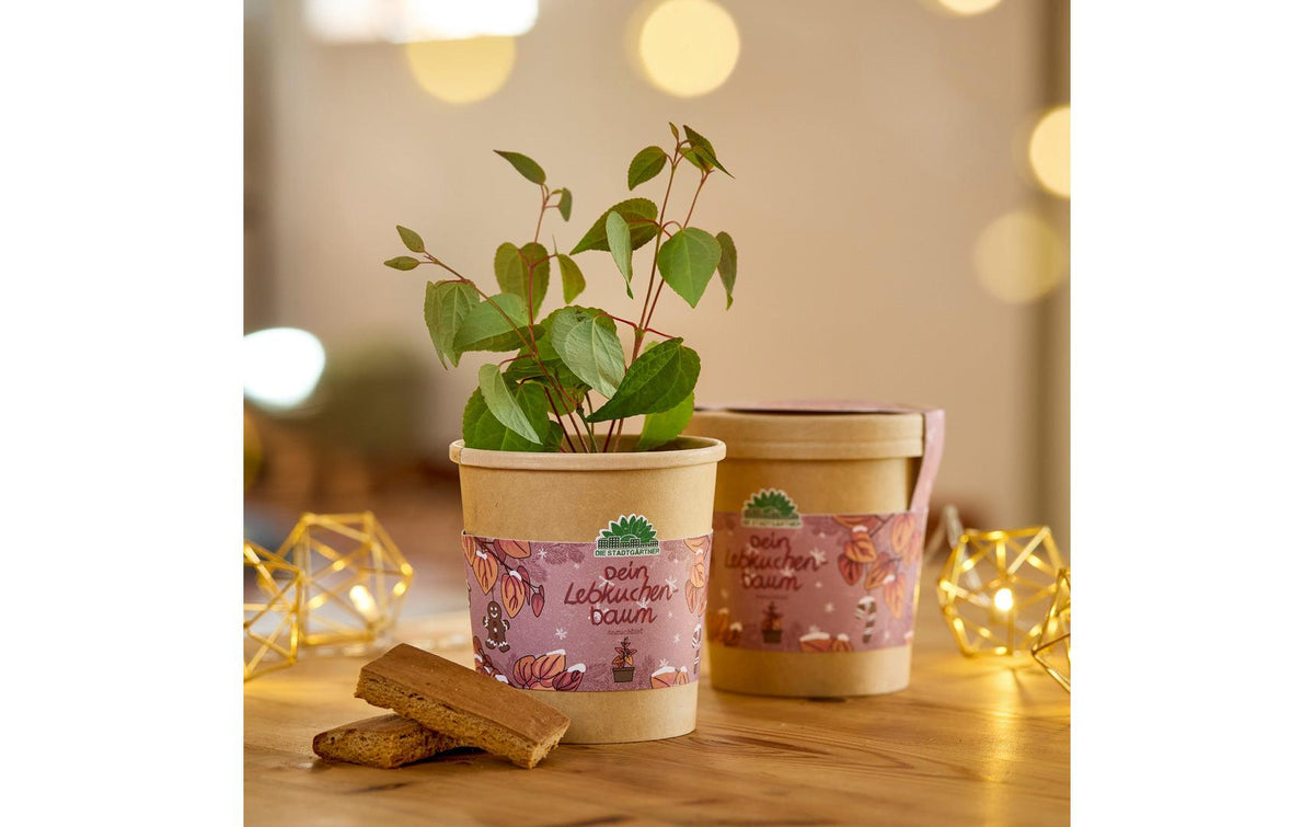 Stadtgärtner Blumengruss-Becher Lebkuchen