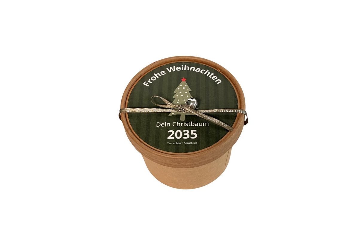 Wunderle Christbaum Pott 2035