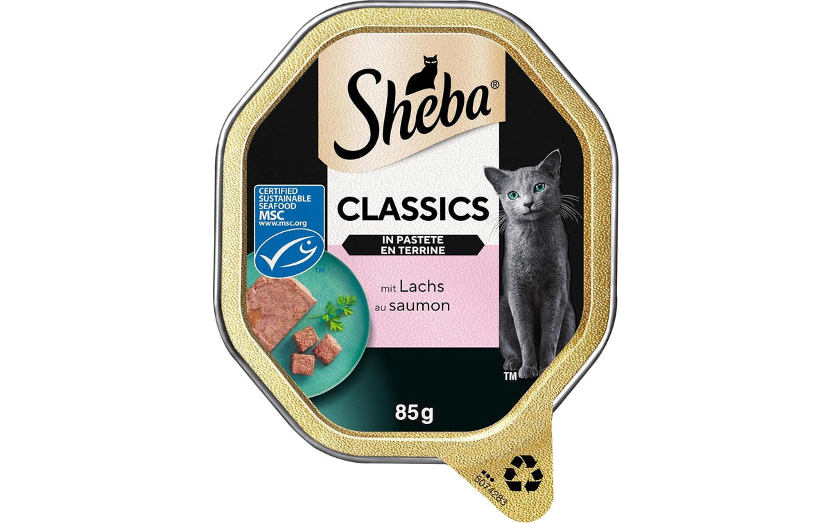 Sheba Classics Schale Lachs Pastete MSC 22 x 85g