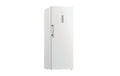 Bauknecht Gefrierschrank GKN 19170D CH