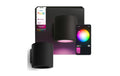 Philips Hue Muscari Wandspot White & Col. Amb.