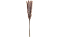 Eglo Trockenblume GUIPOS Farbe: Natur