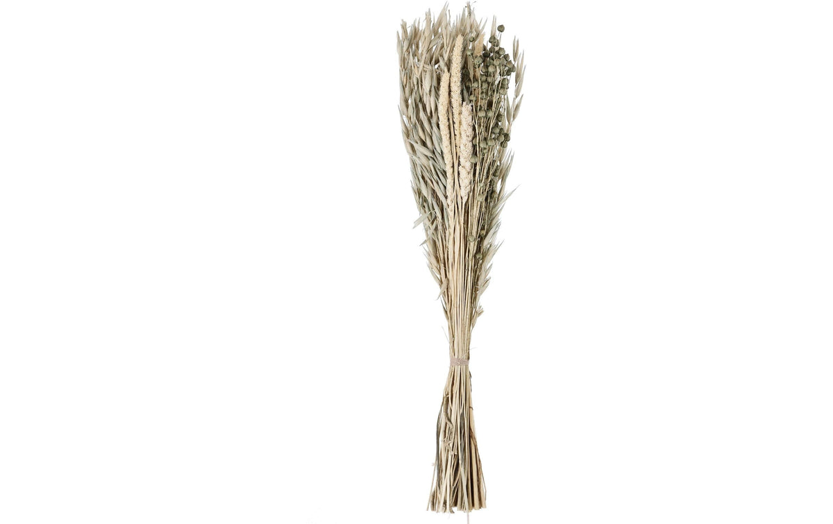 Eglo Trockenblume CARAQUET Farbe: Natur