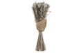 Eglo Trockenblume CARAQUET Farbe: Natur