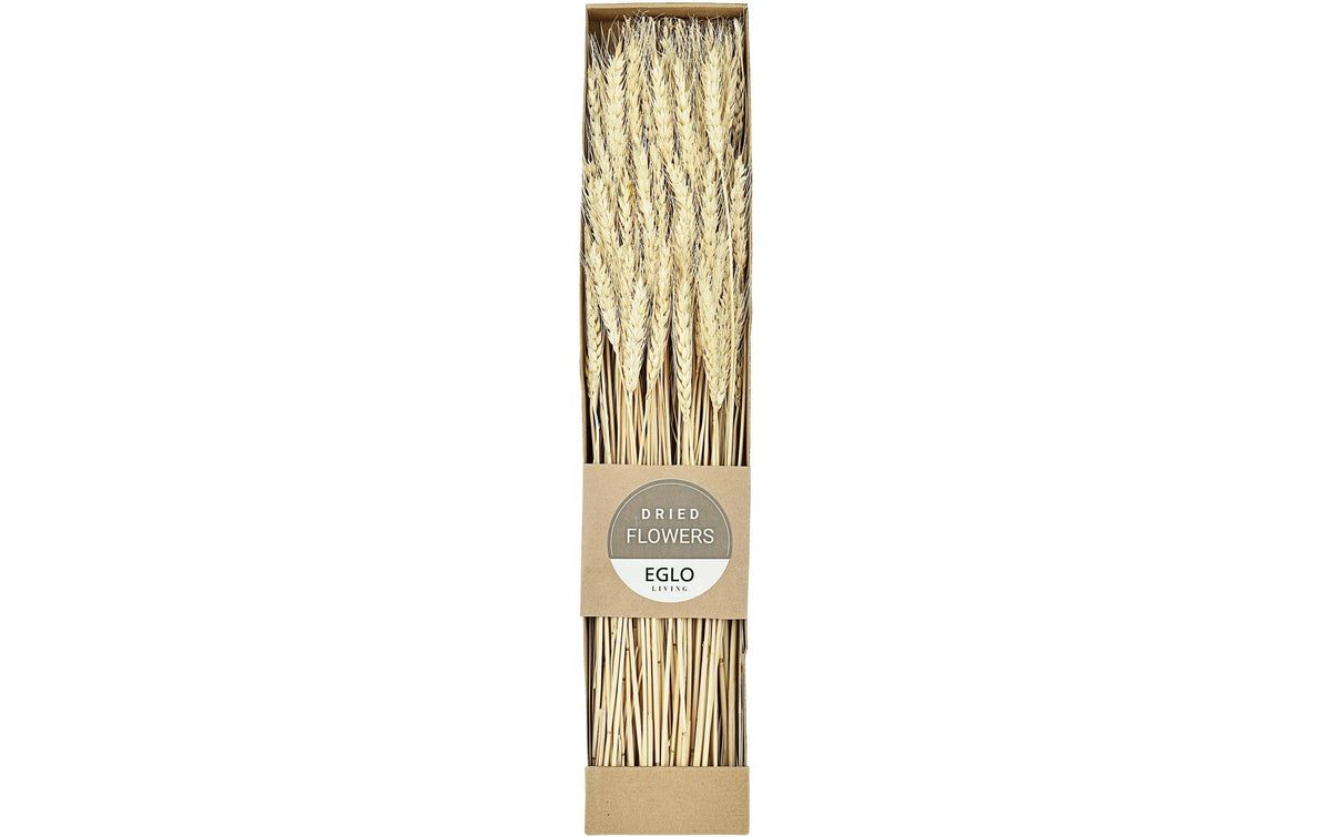Eglo Trockenblume GUIPOS Farbe: Natur