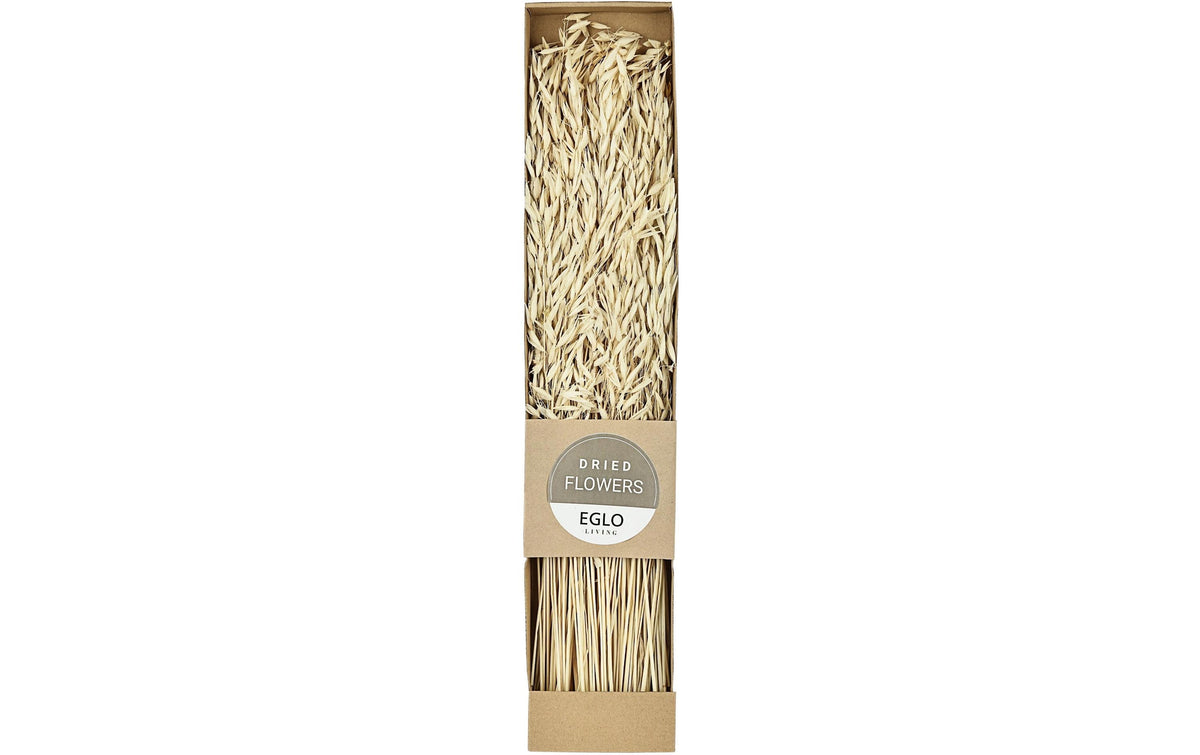 Eglo Trockenblume GUIPOS Farbe: Natur