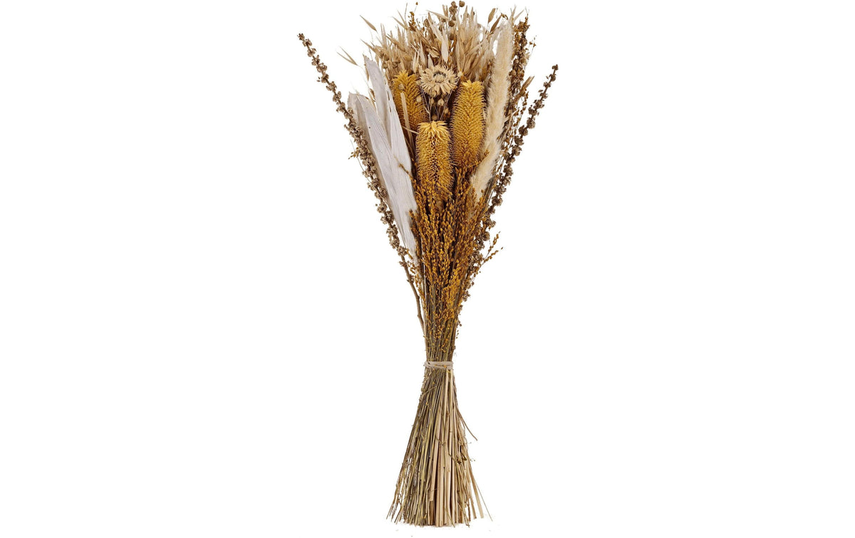 Eglo Trockenblume CARAQUET Farbe: Natur