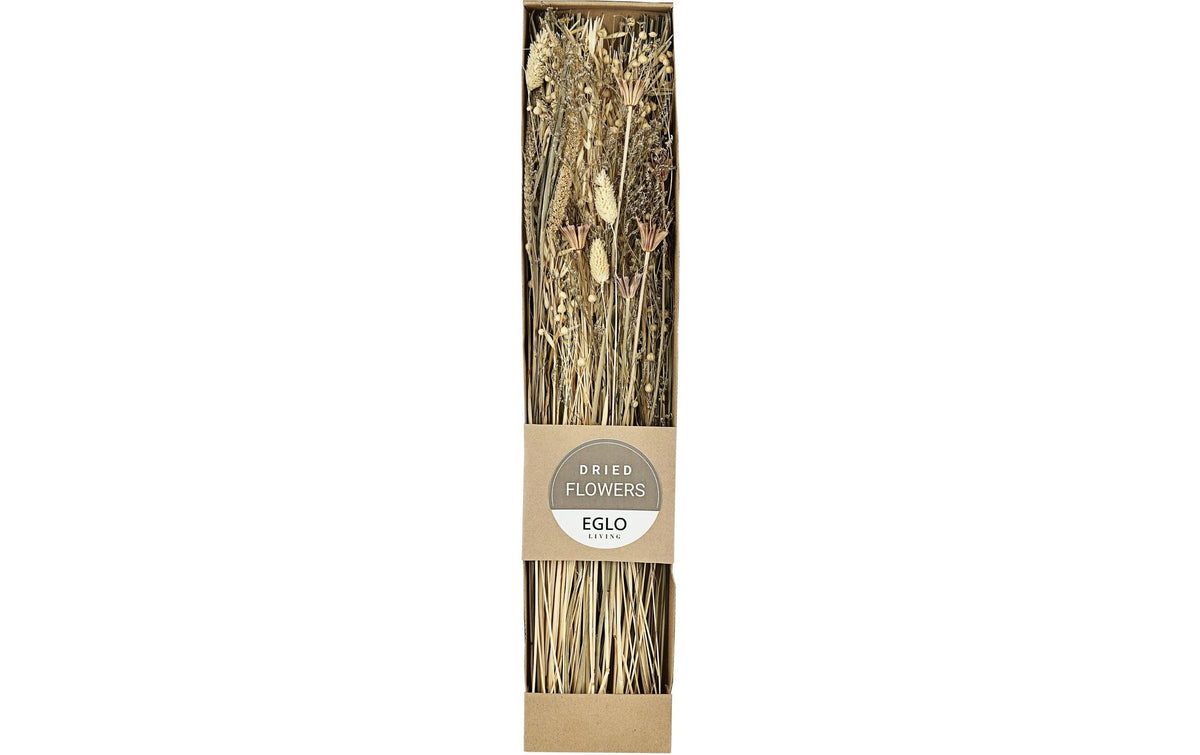 Eglo Trockenblume GUIPOS Farbe: Natur