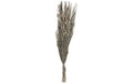 Eglo Trockenblume GUIPOS Farbe: Natur