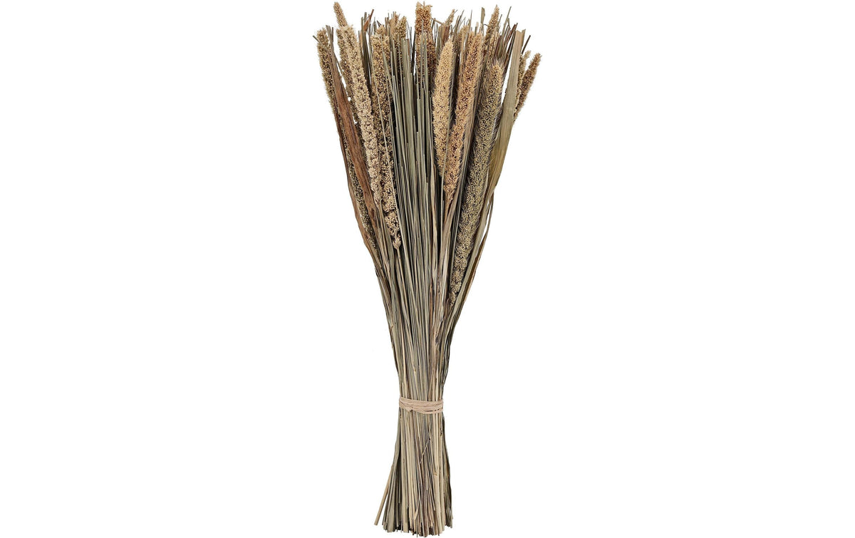Eglo Trockenblume CARAQUET Farbe: Natur