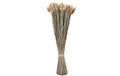 Eglo Trockenblume CARAQUET Farbe: Natur
