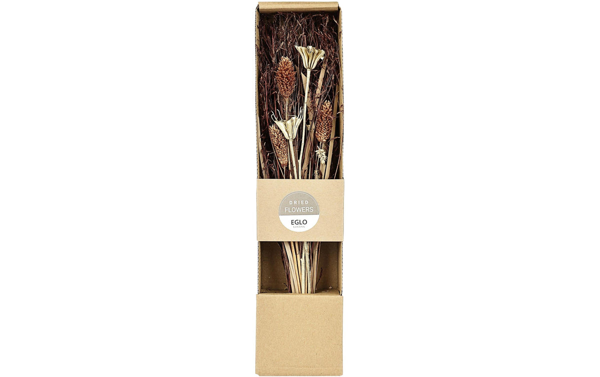 Eglo Trockenblume IGNACE Farbe: Natur