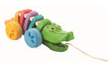 Alligator Regenbogen