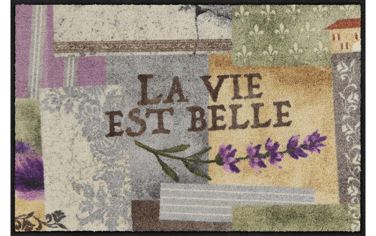 HH Salonlöwe La vie est belle 50 x 75 cm