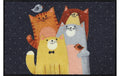 HH Salonlöwe Cat Quartet 50 x 75 cm