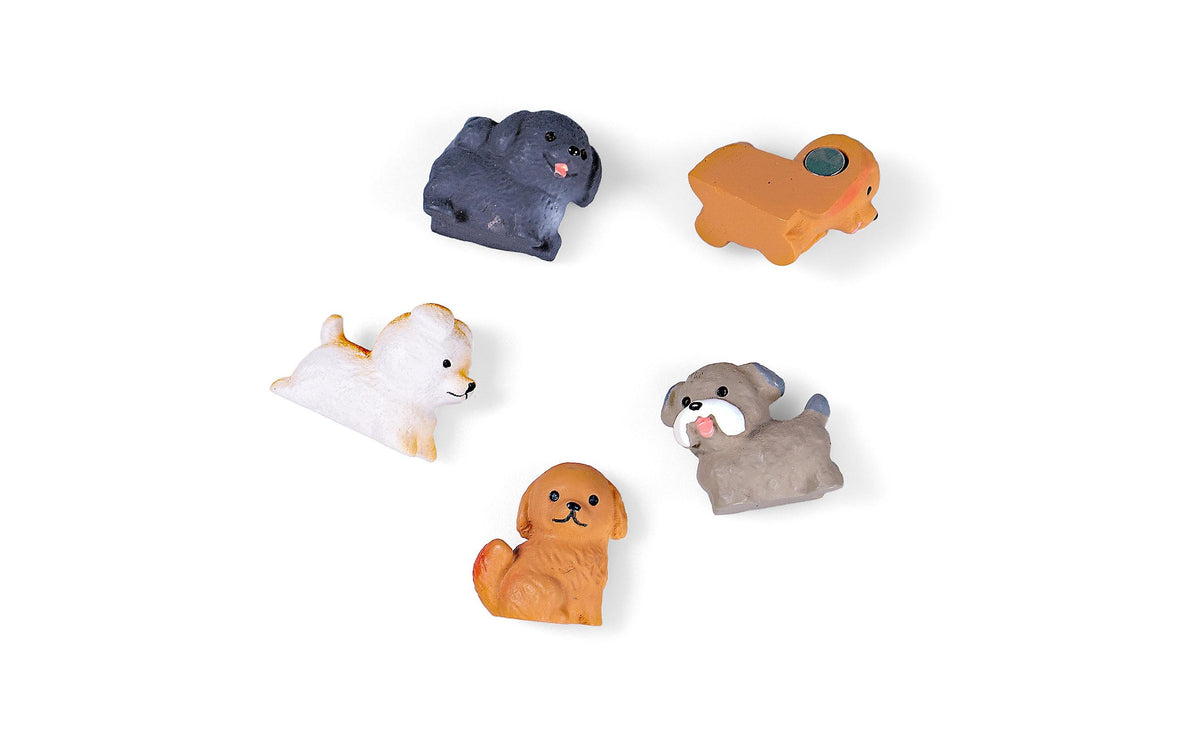 TRENDFORM Magnete Puppy 5er Set multicolor