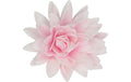 Essbare Papierblumen Deluxe Pfingstrose Rosa Ombre - Gross