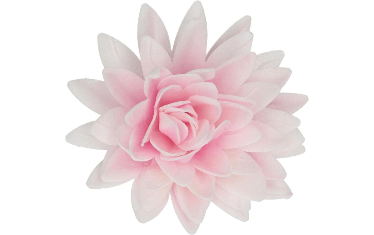 Essbare Papierblumen Deluxe Pfingstrose Rosa Ombre - Gross
