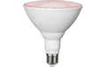 Star Trading LED Lampe 16W, E27, 1200lm 570cd, Pflanzenbeleuchtung