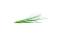 Click and Grow Chives Nachfüllpackung 3er Set