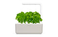 Smart Garden 3 Mellow Beige