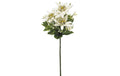 Botanic-Haus Edelweiss, 3er Set, 22 cm, Polyester