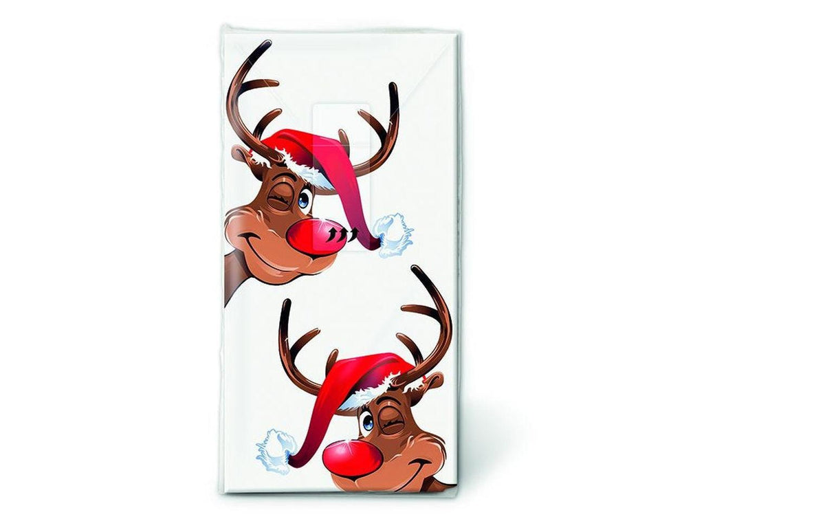 Paper + Design Rudolph Taschentücher 1 Päckchen à 10 Taschentücher
