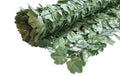Windhager Sichtschutz-Hecke Ahorn 1.5x3m Grün