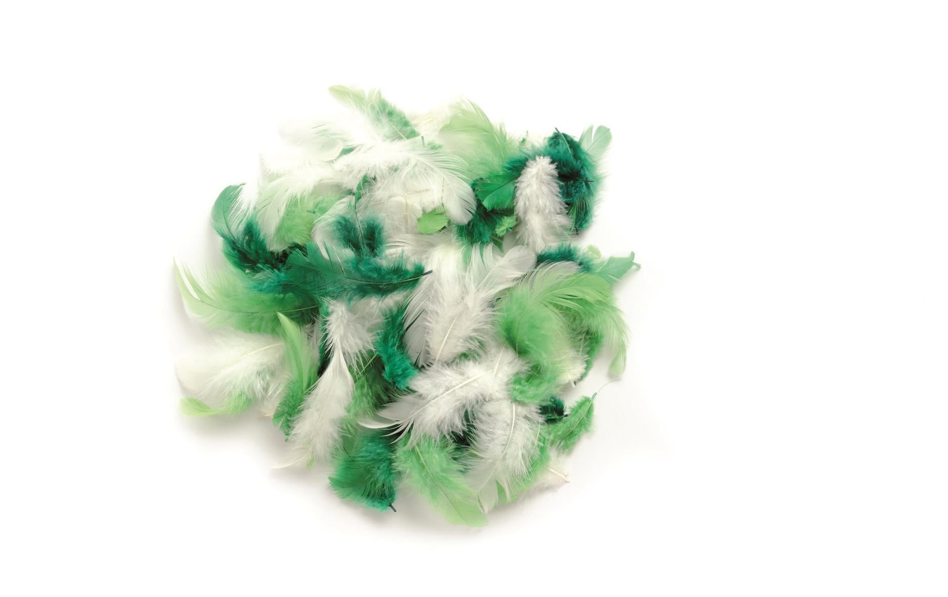 Glorex Deco-Federn 10g grün mix