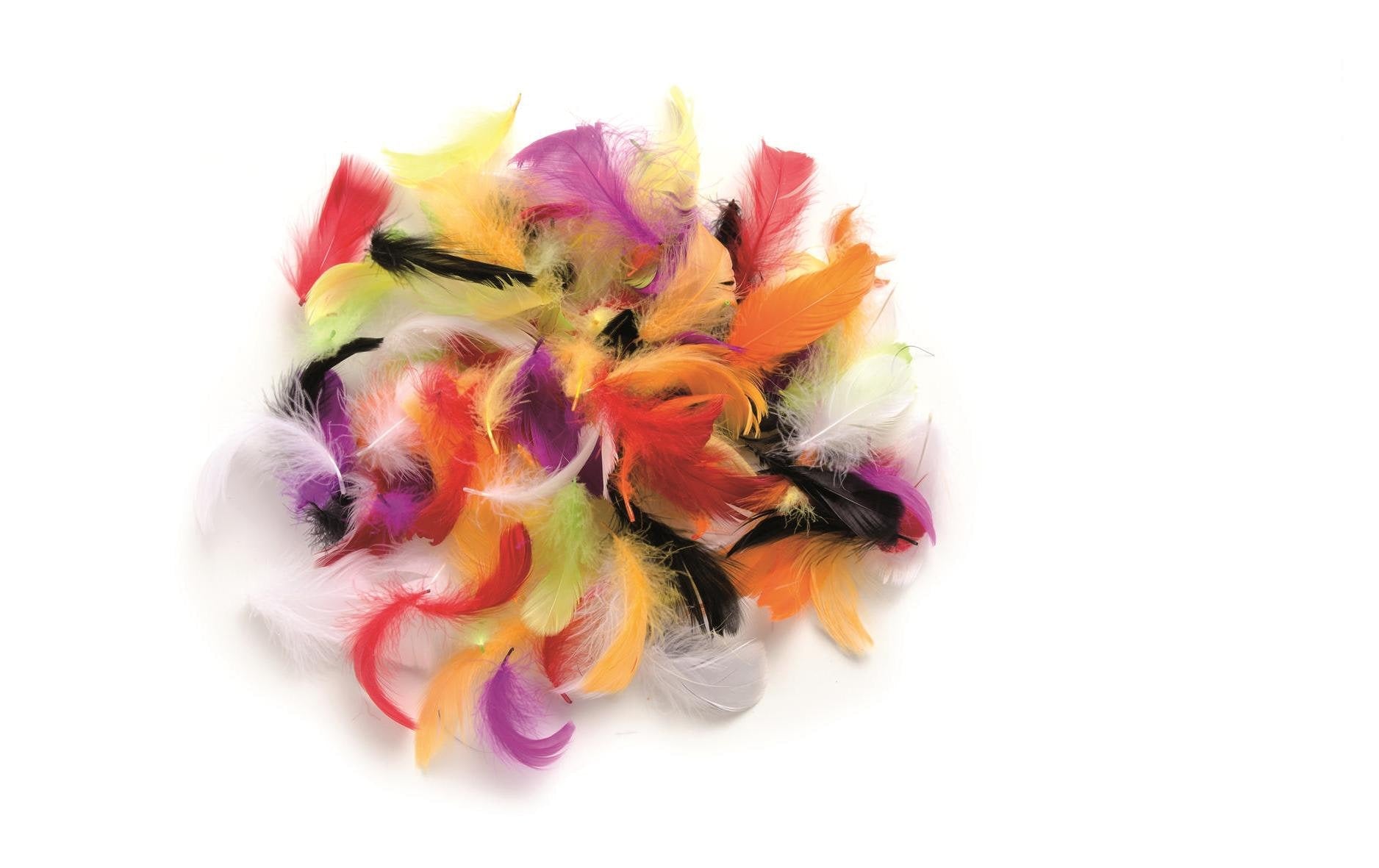 Glorex Deco-Federn 10g farbig sortiert