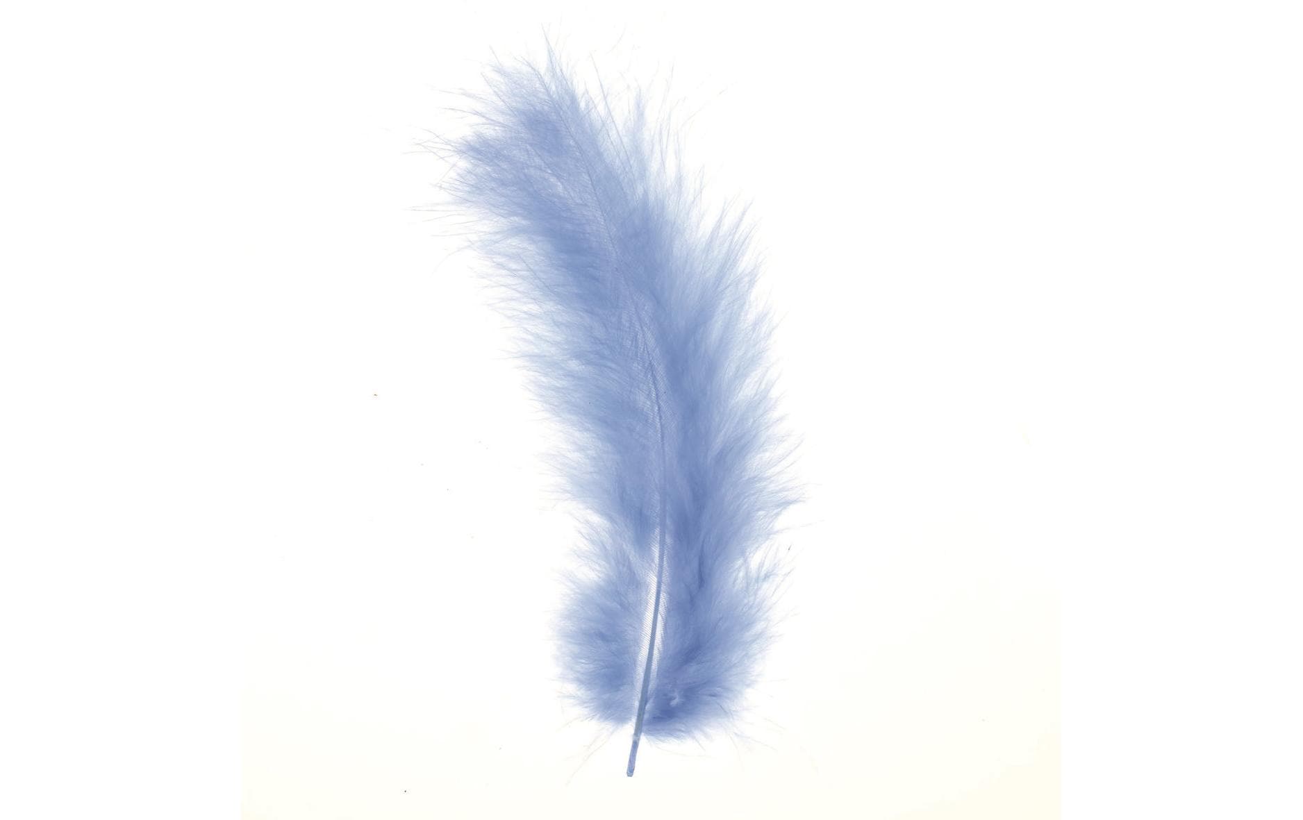 Glorex Marabu-Federn hellblau 2g, ca 15 Stück
