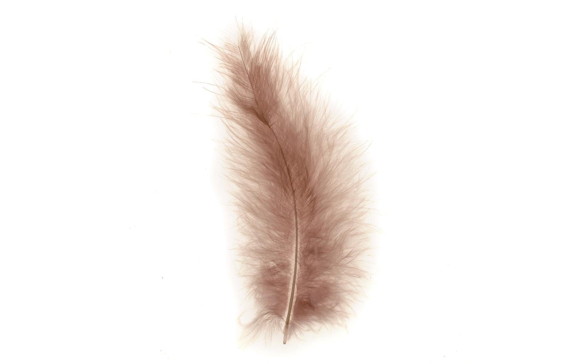 Glorex Marabu-Federn natur 2g, ca 15 Stück