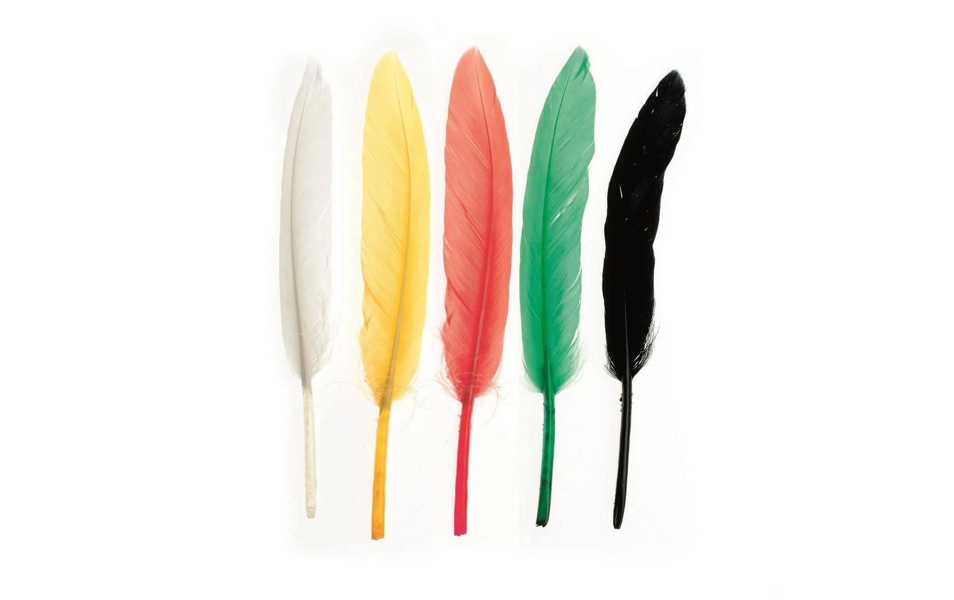Glorex Indianerfeder 13 cm, ca. 15 Stück
