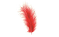 Glorex Marabu-Federn rot 2g, ca 15 Stück