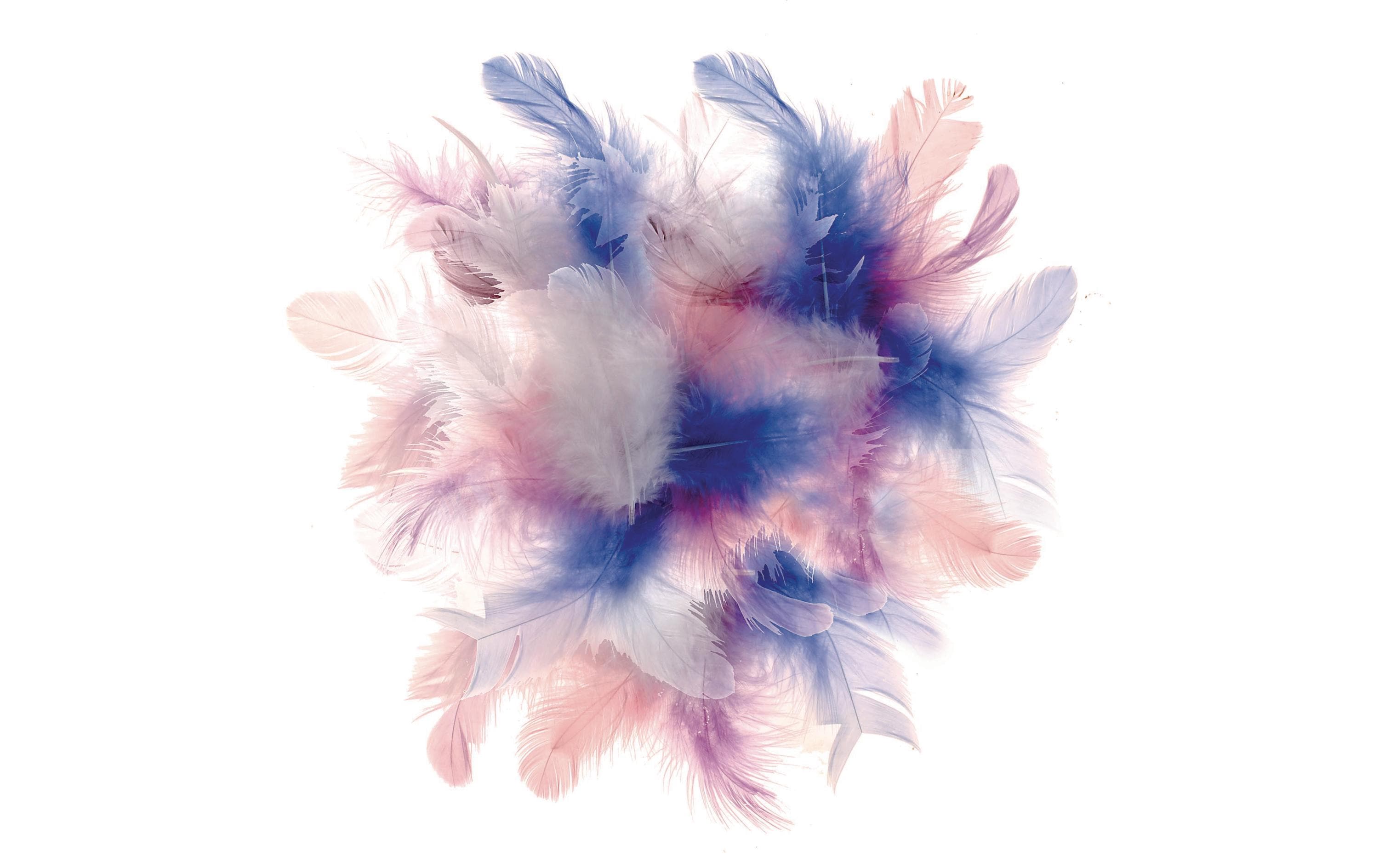 Glorex Deco-Federn 10g Pastell Mix