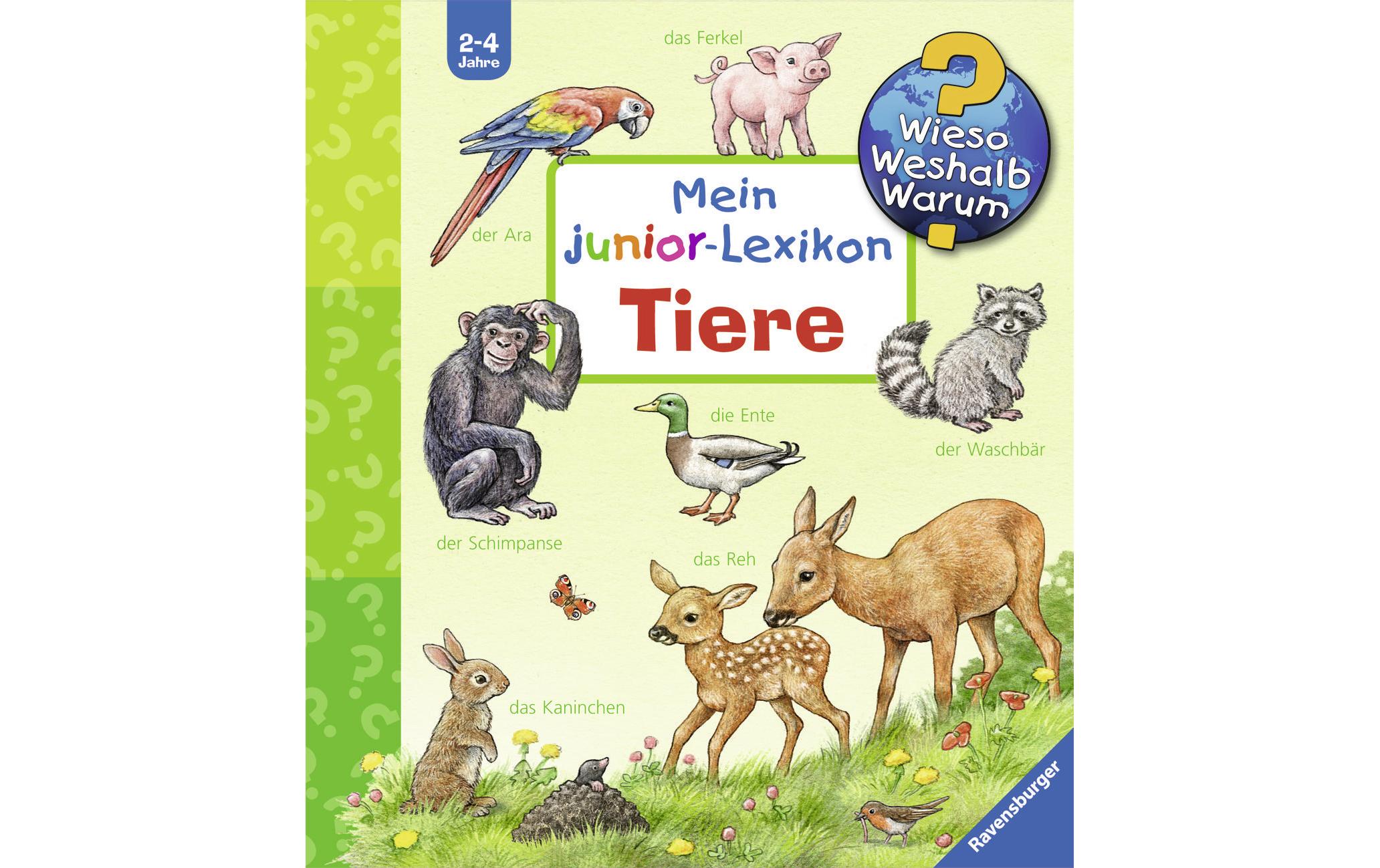 WWW Mein junior-Lexikon: Tiere RAV Kinderbücher