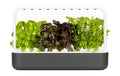 Smart Garden 9 Dunkelgrau
