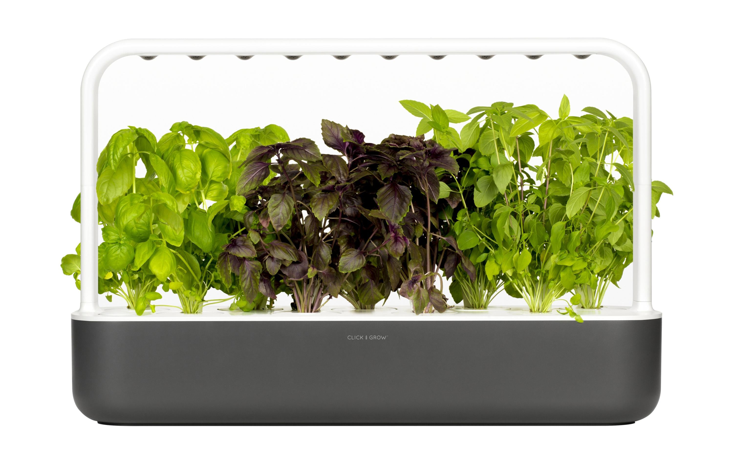 Smart Garden 9 Dunkelgrau