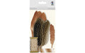 Ursus Deko-Set Federn kupfer, 6 Federn, 5 Papierfedern, Garn