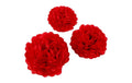 Creativ Company Papier-Pompons rot 3 Stück: 20 + 24 + 30 cm