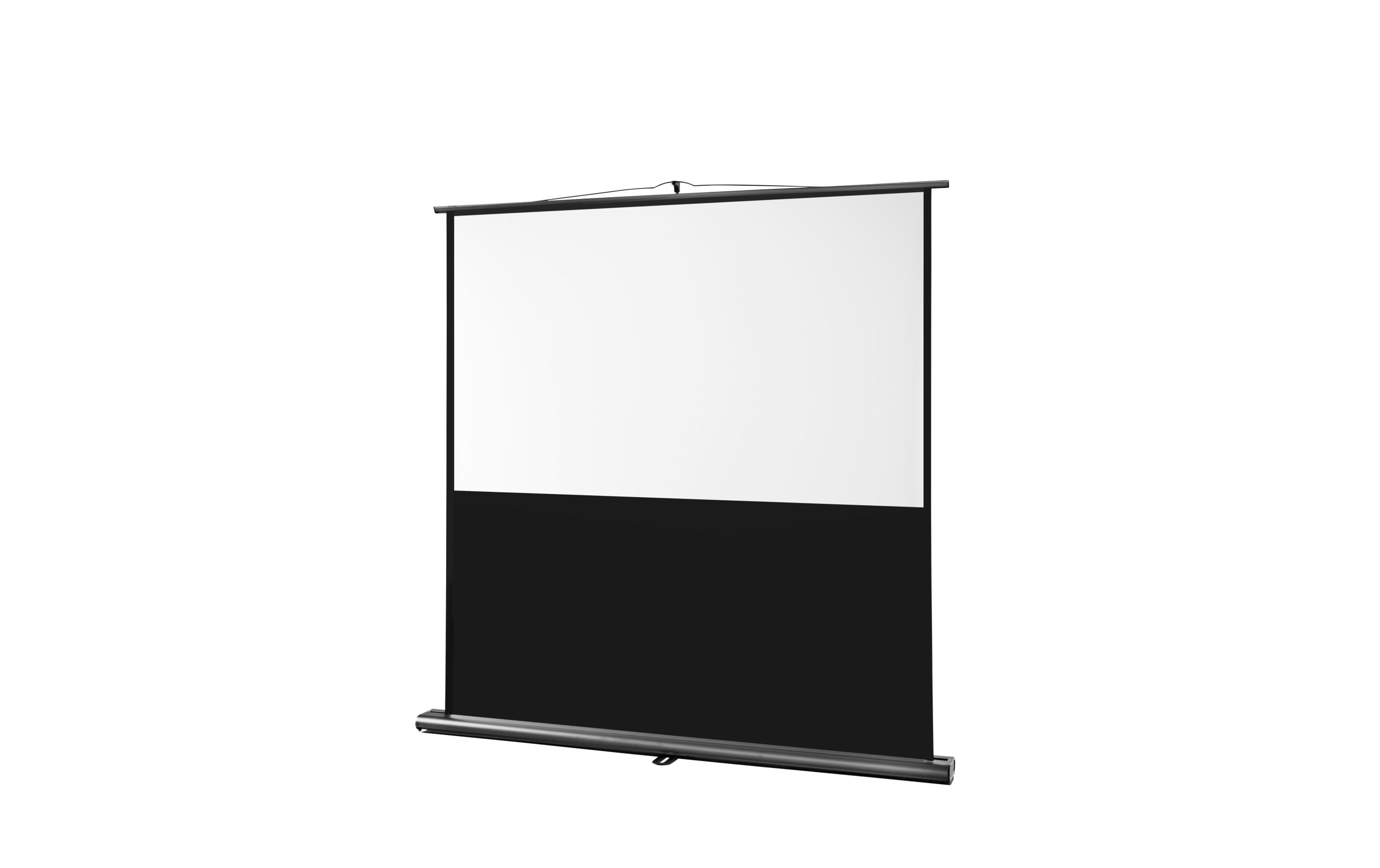 Celexon, Ultramobil Professional, Leinwand 16:10, manuell, 180x113cm