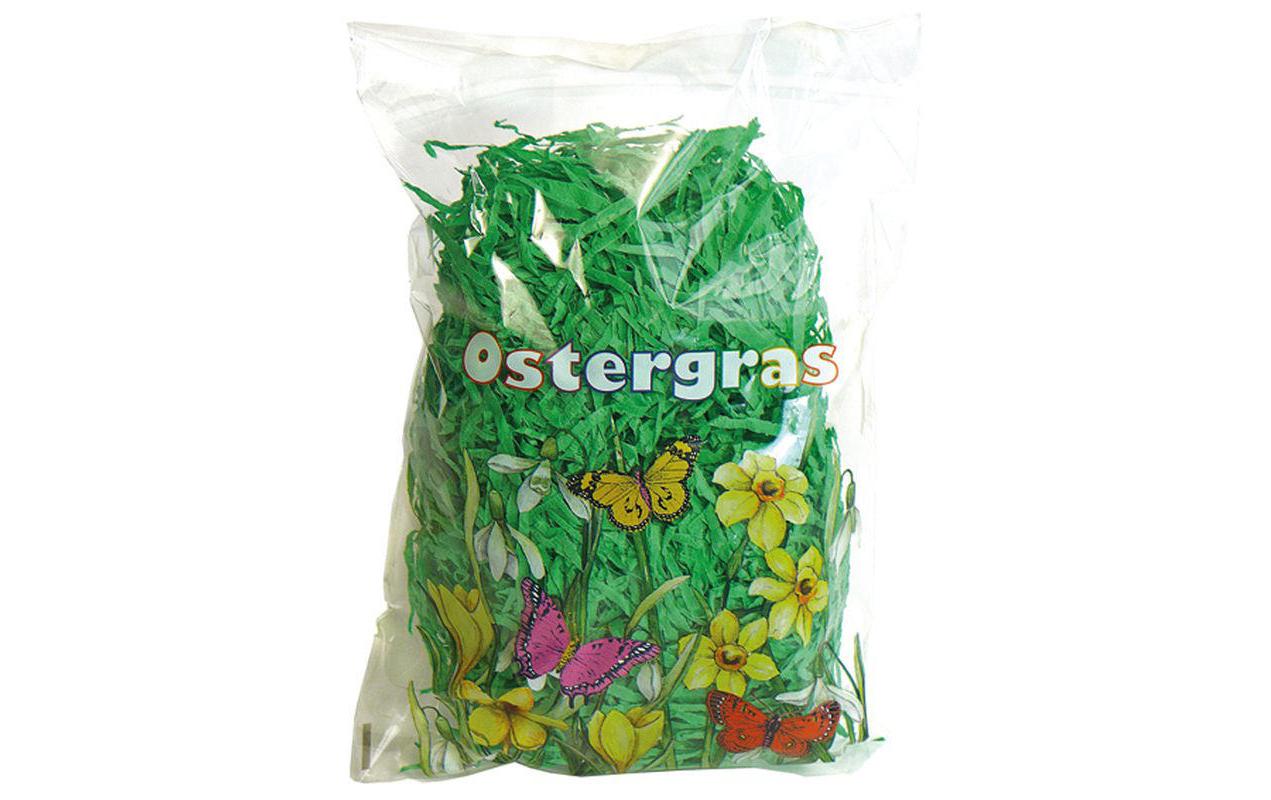 B+C Ostergras ca. 45g grün