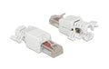 Delock RJ45 Stecker, UTP, Cat.6, 2 Stück Für Massiv- und Litzenleiter AWG 24-26