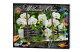 MNZ - Wellness-Oase (Triptychon) Alter: 8+
