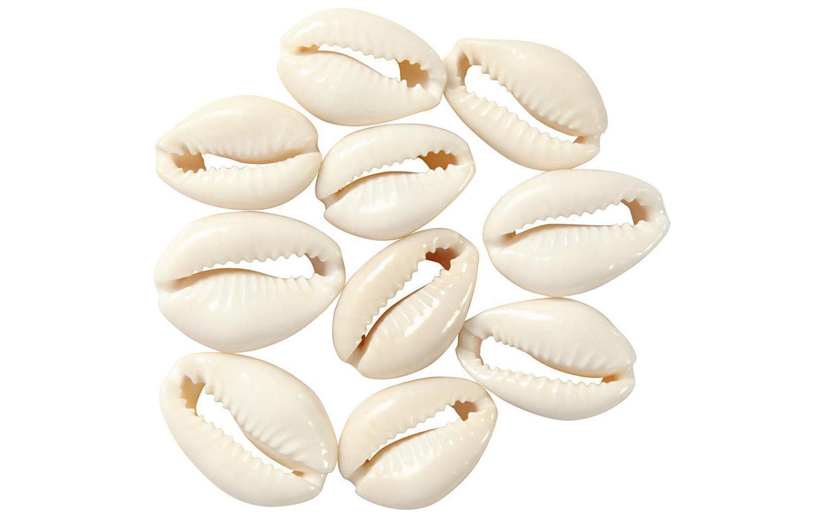 Creativ Company Muschelperlen natur, 20 mm, 12 Stk.