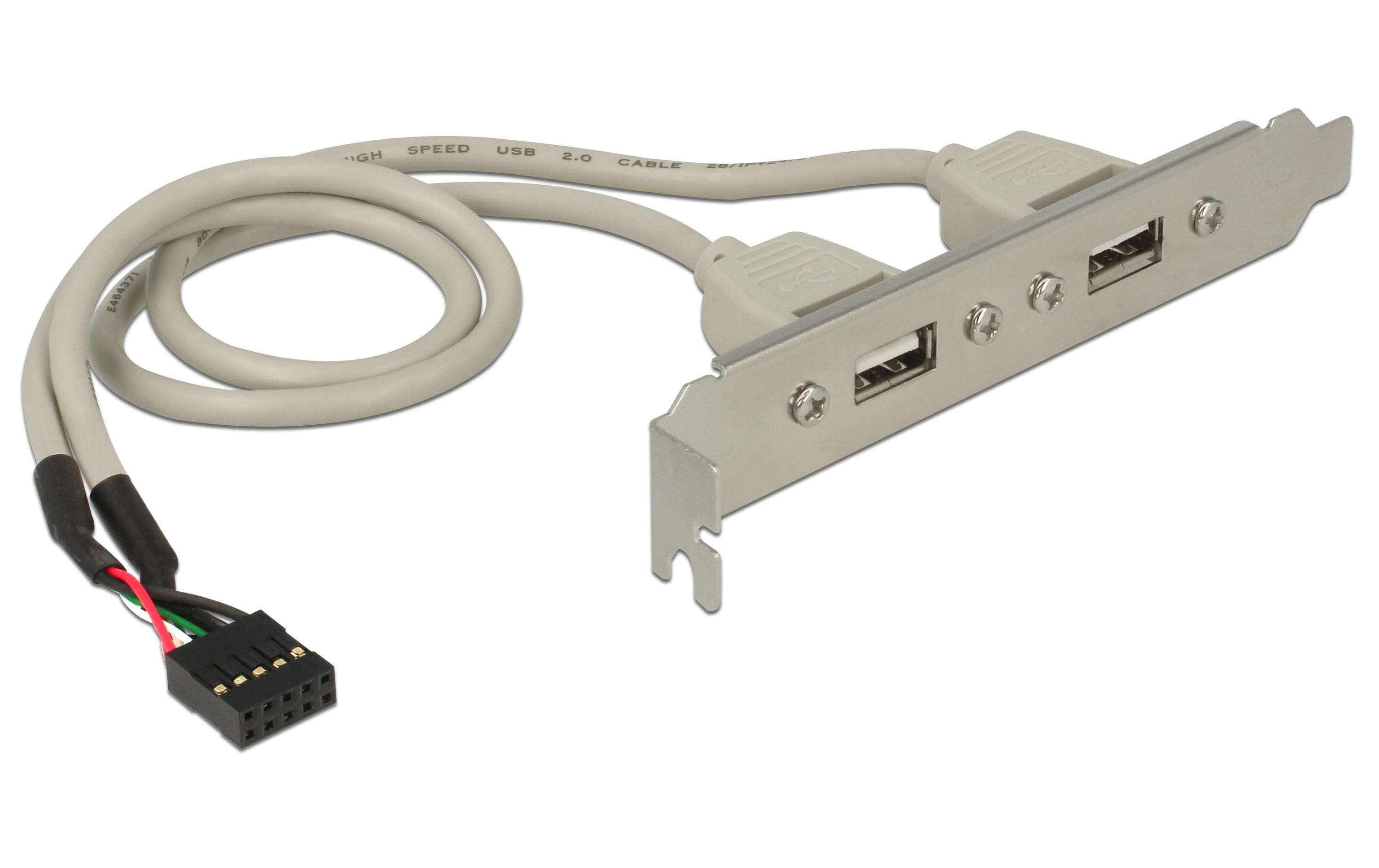Delock Slotblech USB 2.0 Pin Header 1 x 10 Pin intern > 2 x USB 2.0-A