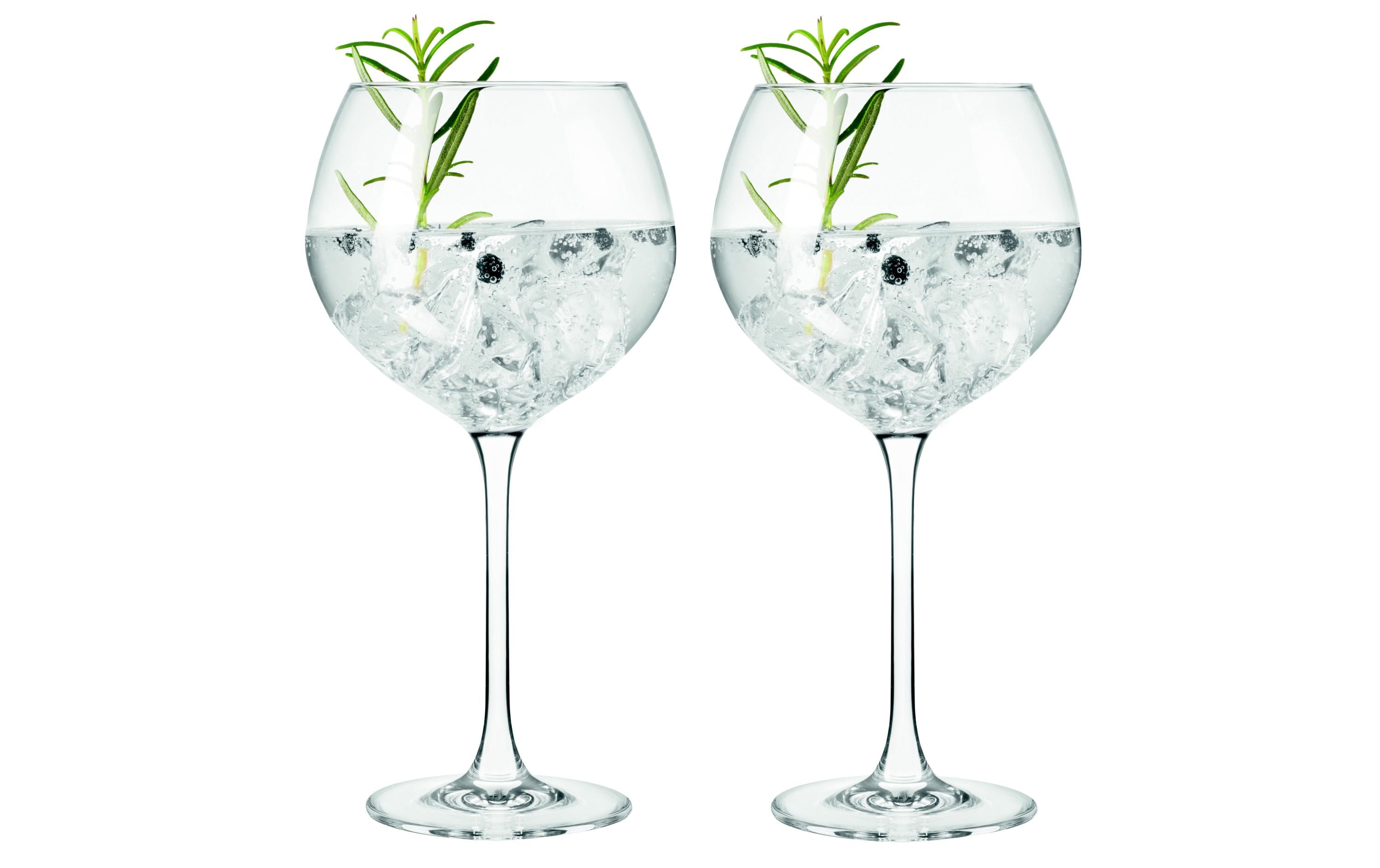 Leonardo Gingläser Gin 630ml 2er Set, HxD: 21x10cm, Vol: 630ml