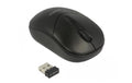 Delock 12494 USB 2.4 GHz, WIRELESS